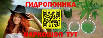 прущие крисы Гусиноозёрск