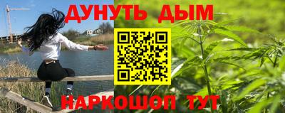 сатива Донецк