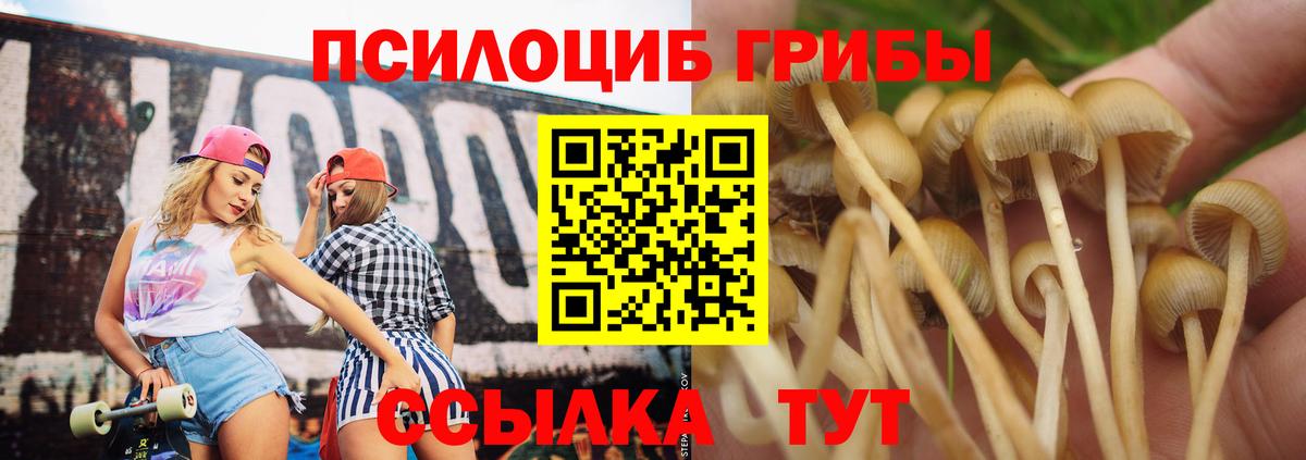 Галлюциногенные грибы MAGIC MUSHROOMS Выборг